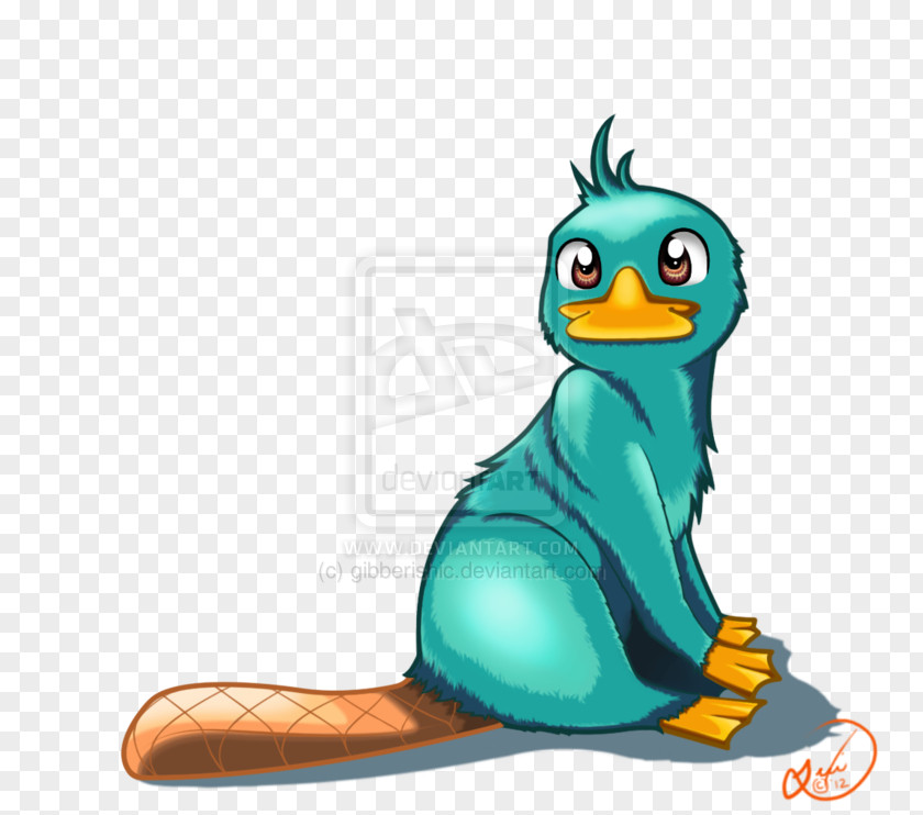 Beak Perry The Platypus Phineas Flynn PNG