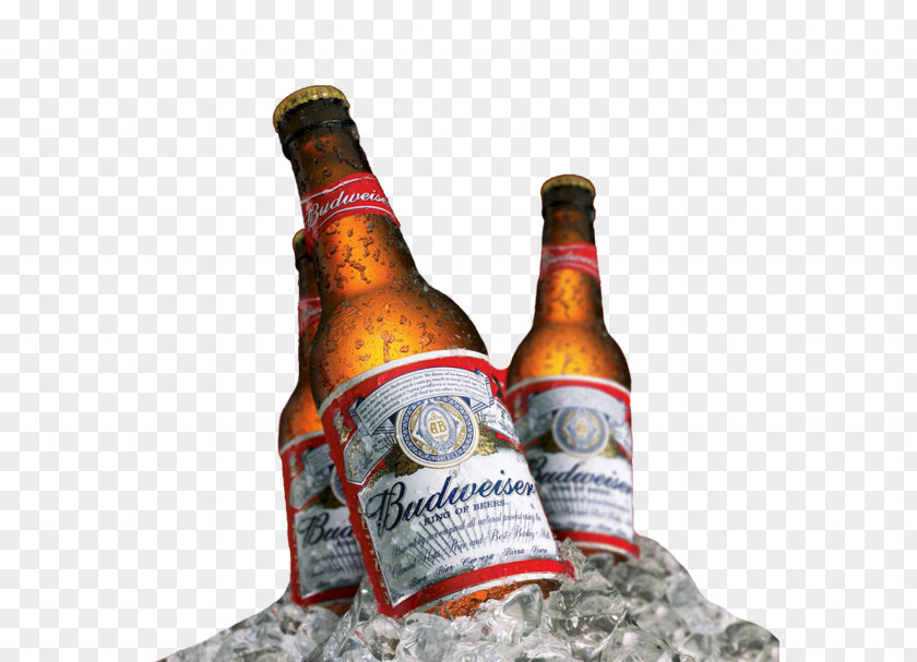 Beer Budweiser Anheuser-Busch InBev Distilled Beverage PNG
