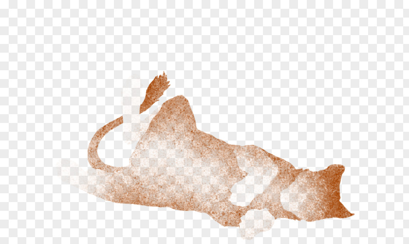 Dog Canidae Fur Snout Mammal PNG