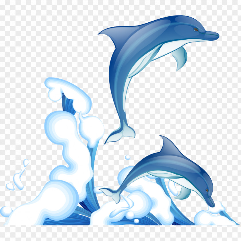 Dolphin Spray Pattern Common Bottlenose Clip Art PNG