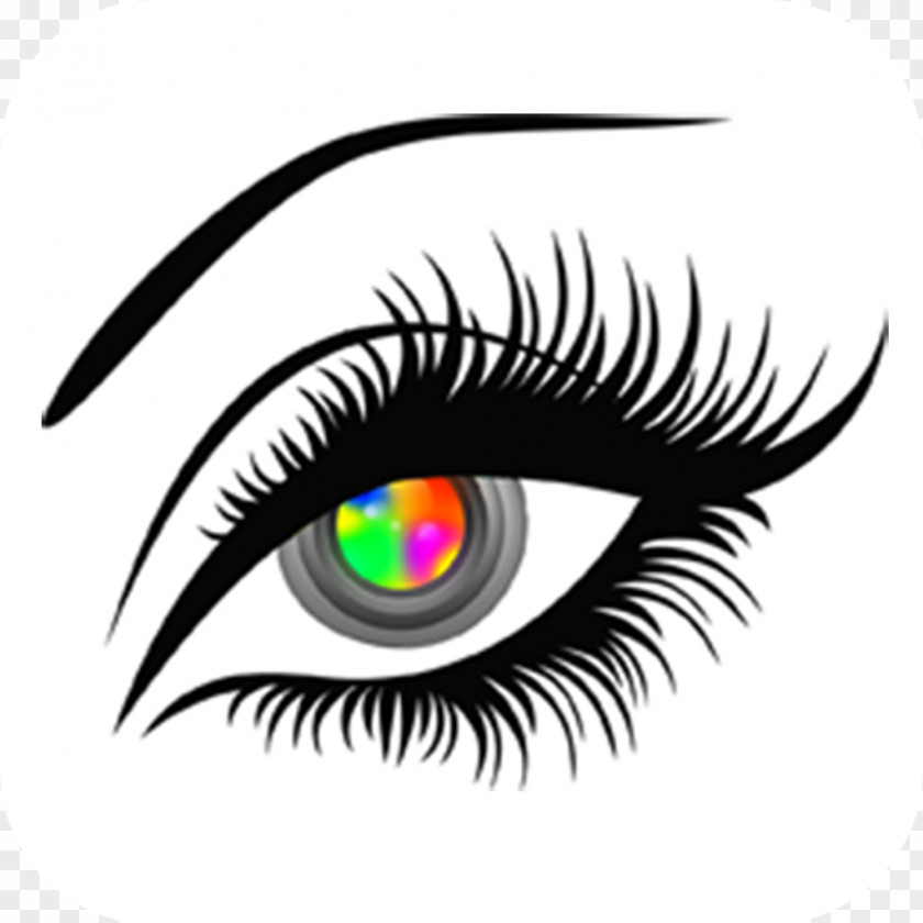 Eye Makeup Eyelash Extensions Clip Art Artificial Hair Integrations Vector Graphics PNG