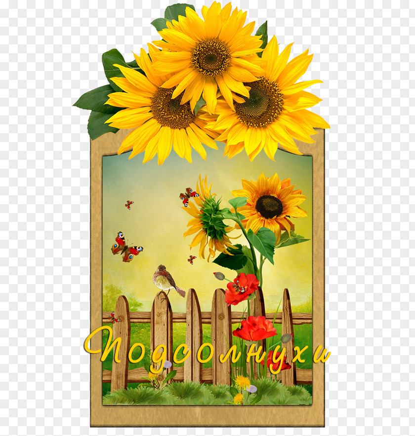 Flower Wedding Invitation Paper Common Sunflower Greeting & Note Cards PNG