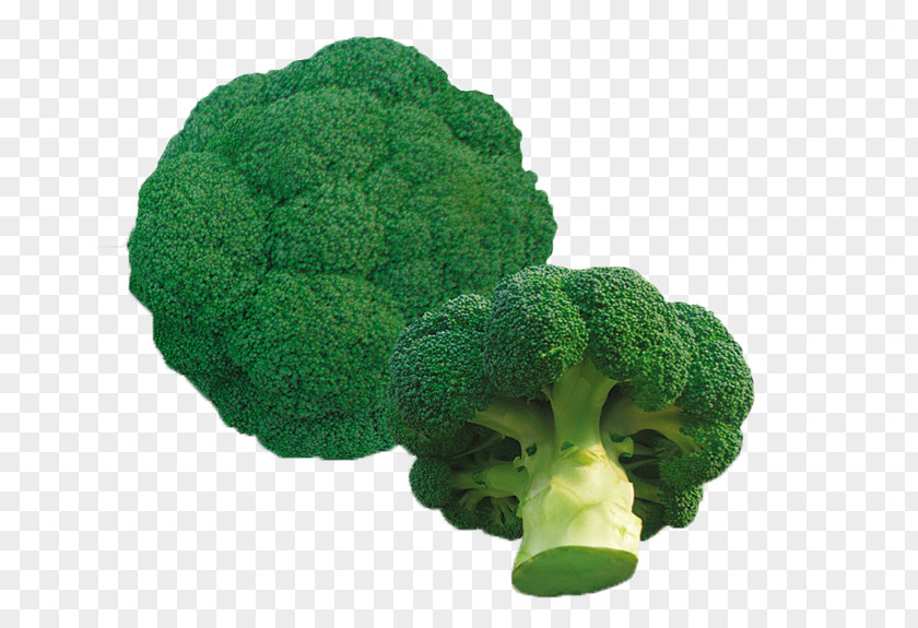 Fresh And Healthy Broccoli Organic Food Seed Vegetable Okra PNG
