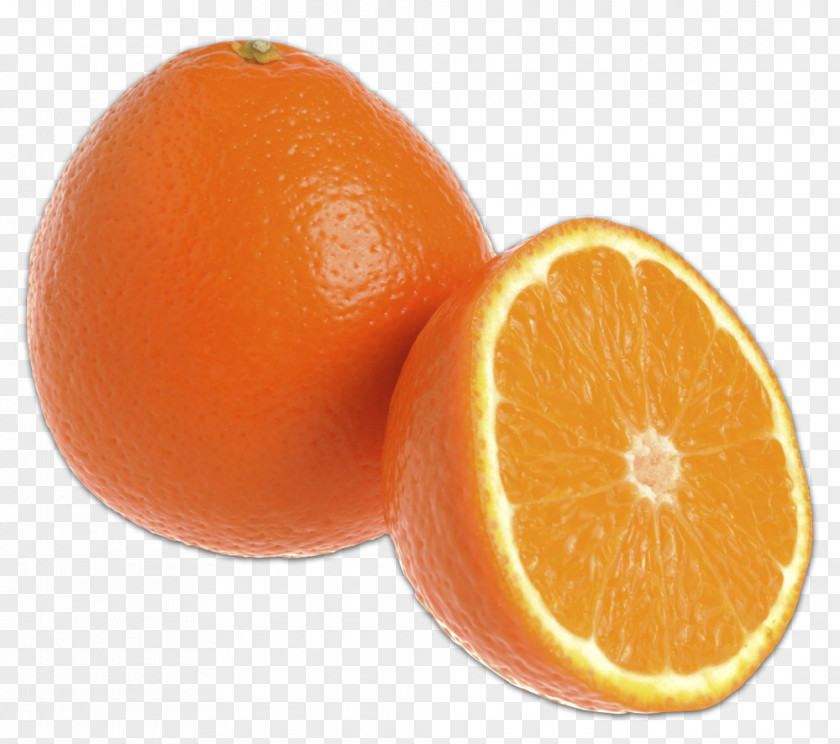 Grapefruit Blood Orange Tangerine Tangelo Clementine Mandarin PNG