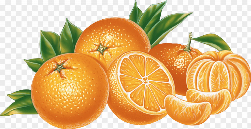 Orange Juice Download PNG