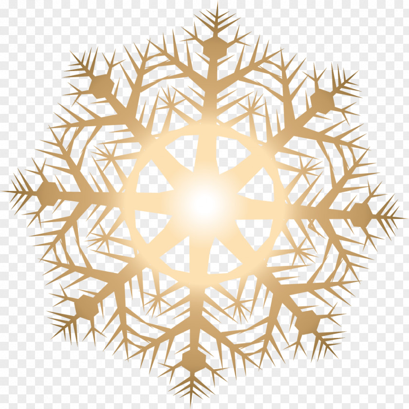 Vector Golden Snowflakes Light Snowflake PNG