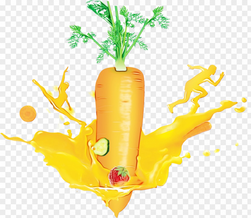 Vegetable Natural Food Local Carrot/m Carrot M PNG