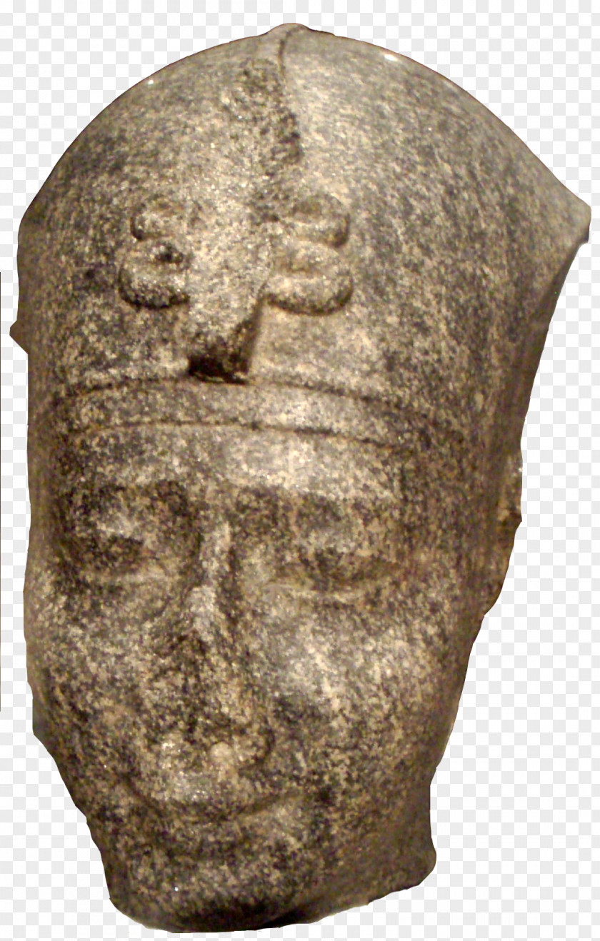 Achaemenid Empire Ancient Egypt Family Tree Wikipedia Pharaoh PNG