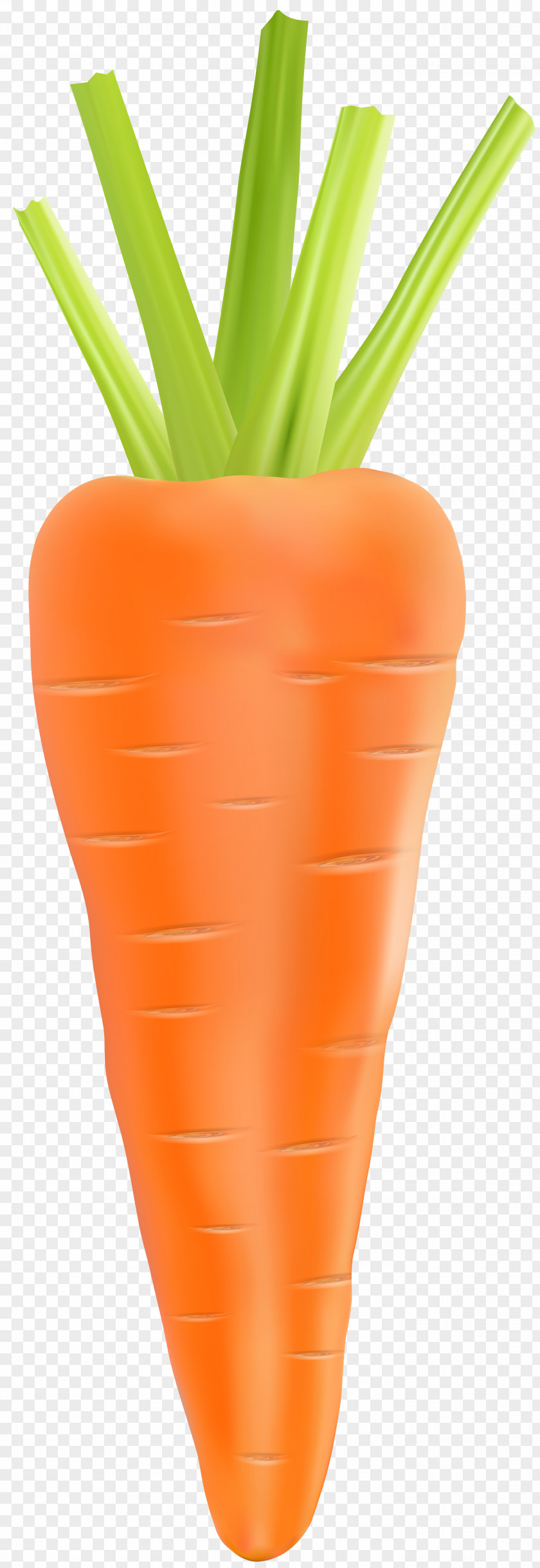 Carrot Transparent Clip Art Image Vegetable PNG