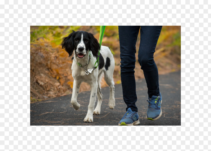 Dog Collar Martingale Leash PNG