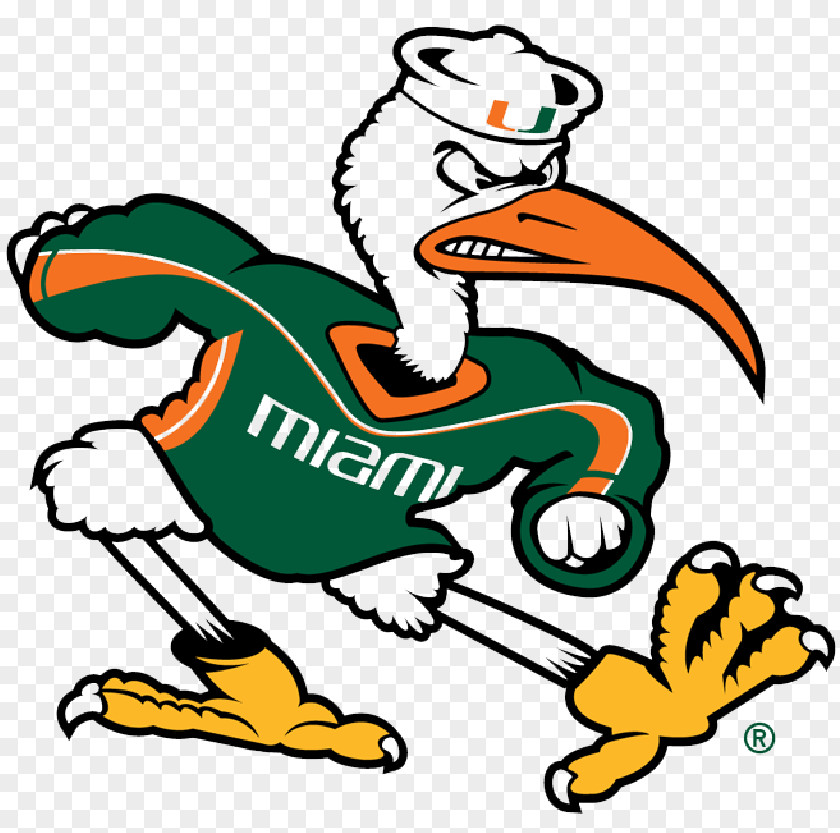 Ganesh Art Miami University Of Hurricanes Football Baseball Sebastian The Ibis Men's Basketball PNG