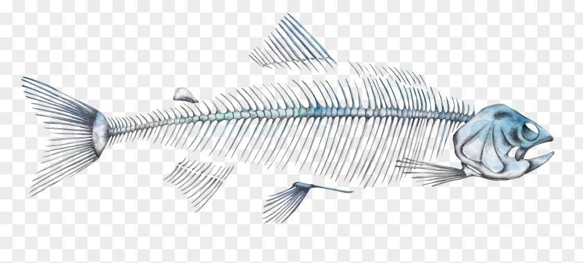 Line Microsoft Azure Fish PNG