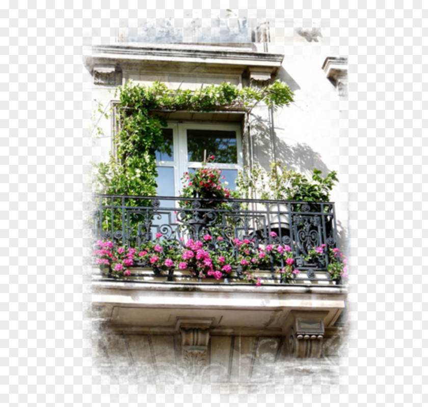 Window Facade Flower Property Balcony PNG