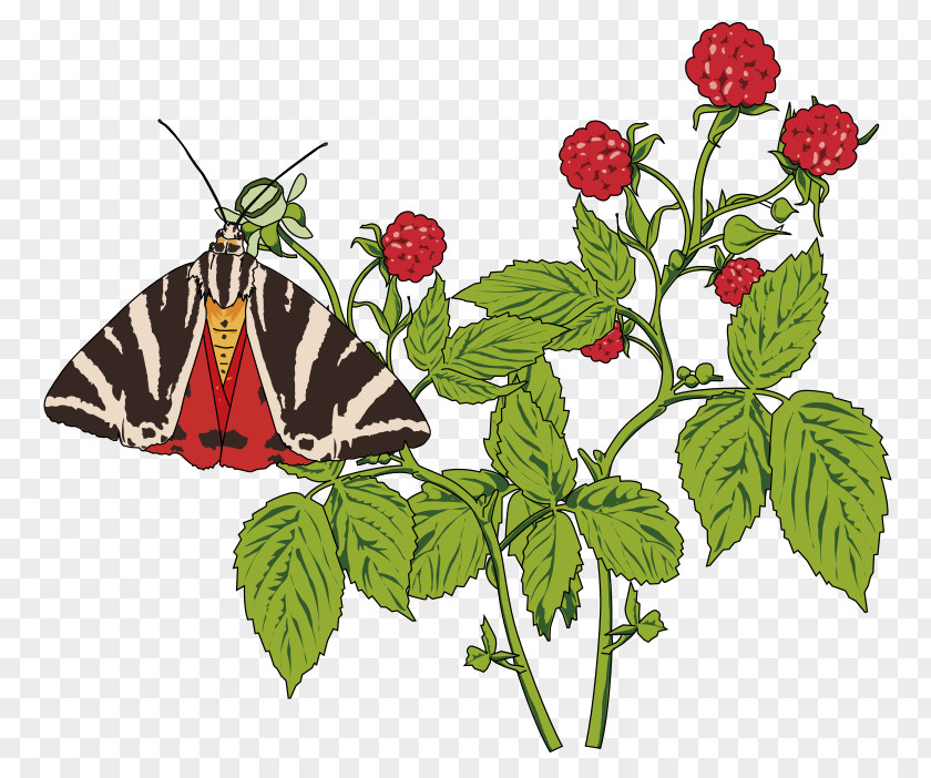 Bouquet Of Flowers Butterfly Papillon Dog Insect Clip Art PNG