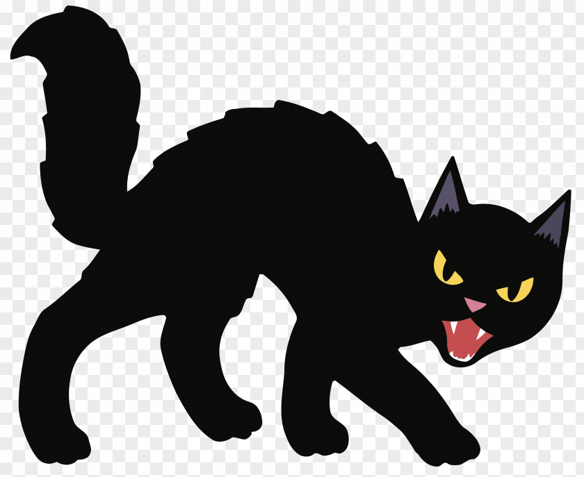 Cats Black Cat Kitten Halloween Clip Art PNG