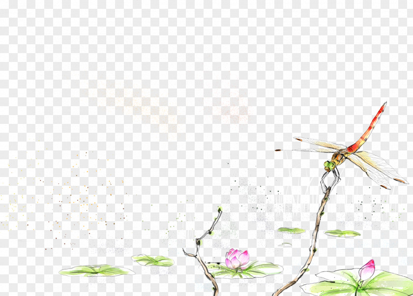 Dragonfly Illustration Watercolor Painting PNG
