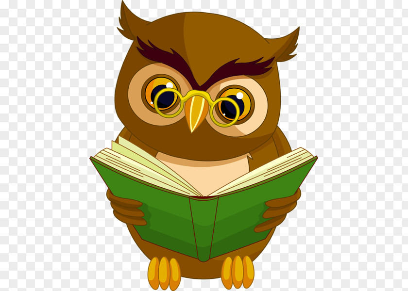 Eastern Screech Owl Bird Cartoon PNG