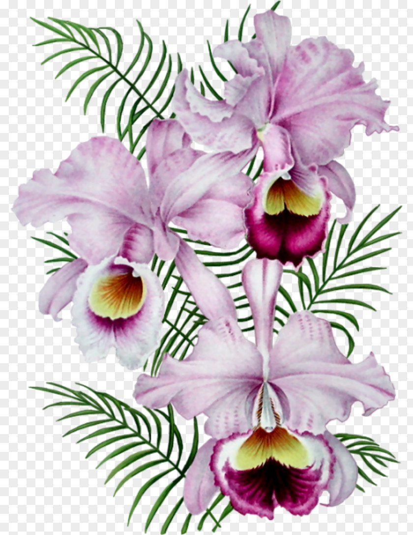 Flower Tropical Gfycat Clip Art PNG