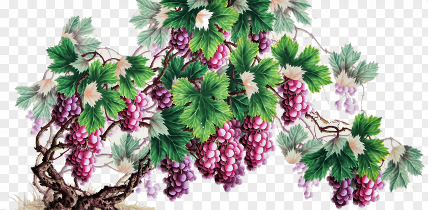 Grape Chinese Painting Fruit PNG