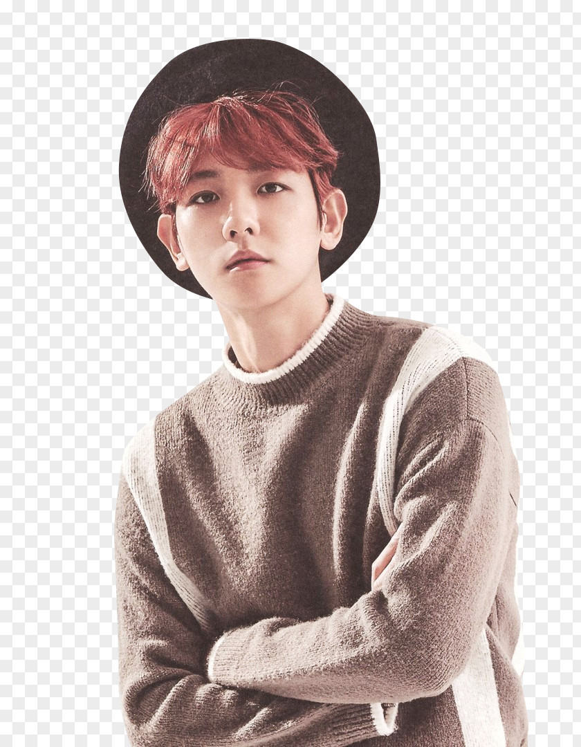 K Pop Exo Baekhyun EXO K-pop S.M. Entertainment Season PNG