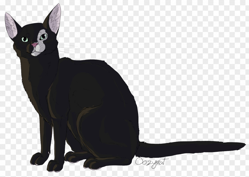 Kitten Black Cat Bombay Domestic Short-haired Whiskers PNG