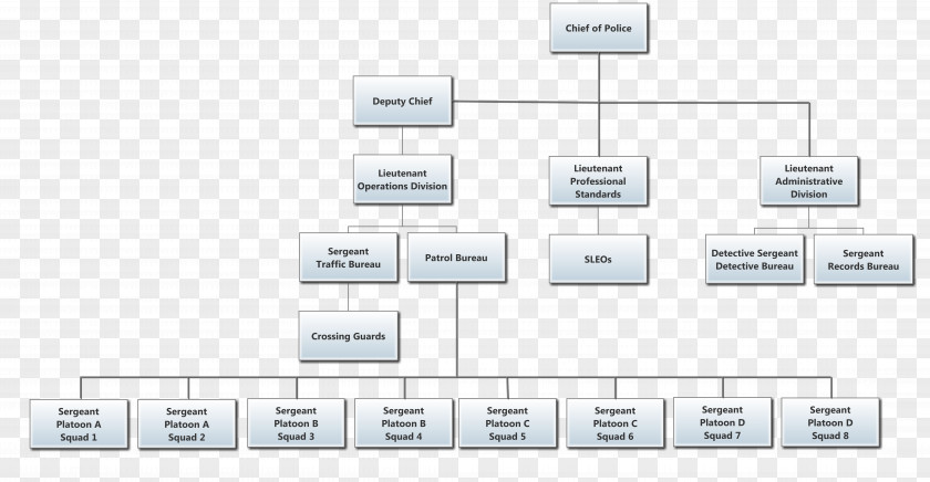 Organization Chart Organizational New Jersey Structure PNG