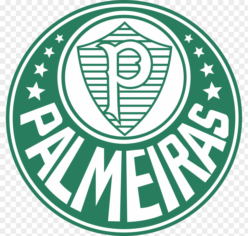 Public Writer Sociedade Esportiva Palmeiras Copa Libertadores Sport Club Internacional Do Brasil Campeonato Brasileiro Série A PNG