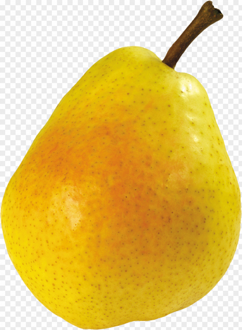 Ripe Pear Image Icon Clip Art PNG