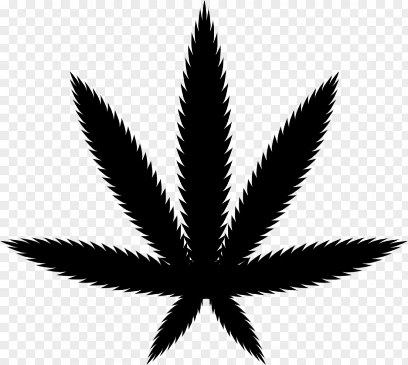 Cannabis Ruderalis Medical Autoflowering Sativa PNG