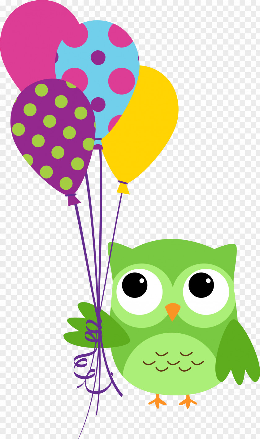 Holi Owl Happy Birthday To You Wish Clip Art PNG