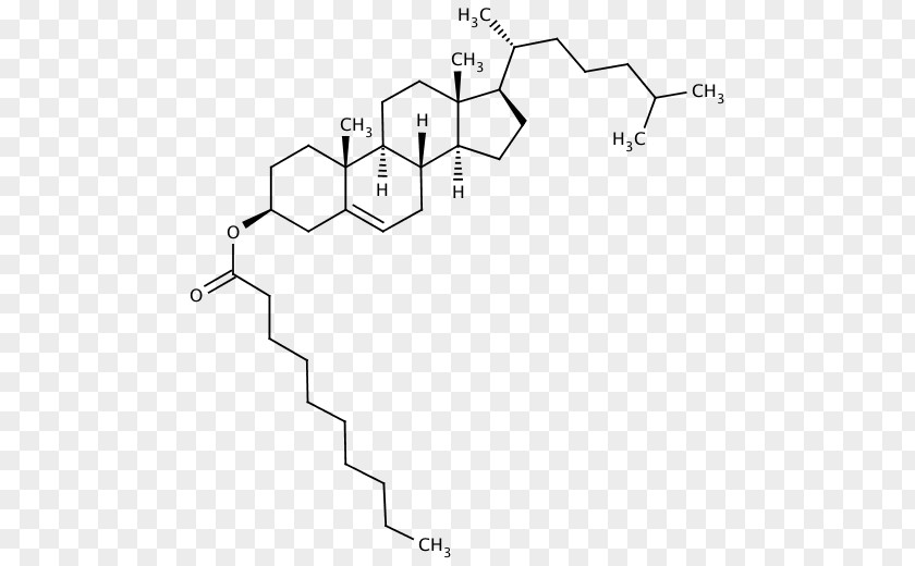 Phthalic Acid Cholesterol Dietary Supplement Bile Hormone Steroid PNG