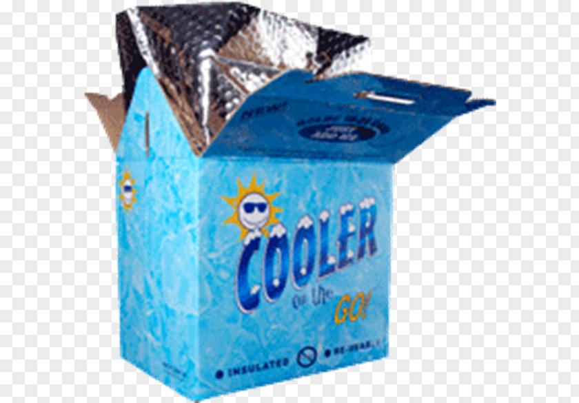 Rideon Cooler Packaging And Labeling Thermal Insulation Plastic Insulated Shipping Container PNG