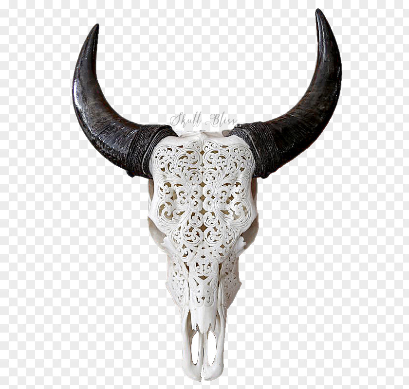 Skull Texas Longhorn Bull Goat PNG