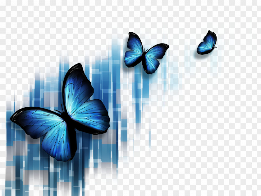 Colorful Butterfly Blue Stock Photography Microsoft PowerPoint Illustration PNG
