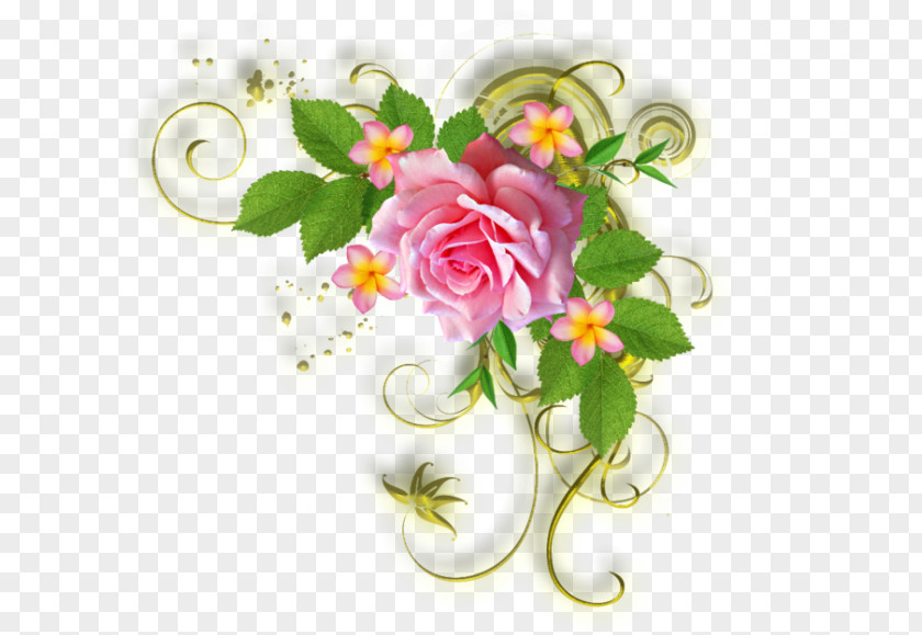 Flower Floral Design Clip Art Rose PNG