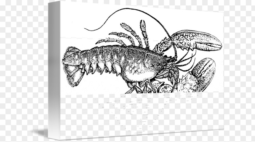 Lobster In Kind Plateau De Fruits Mer American Palinurus Apron Seafood PNG