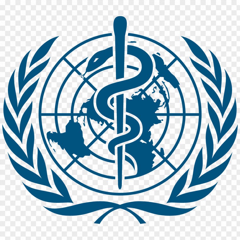 Organization Model United Nations World Health System PNG