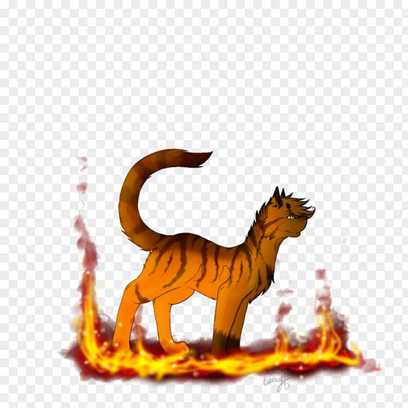 Tiger Lion Cat Fauna Animal PNG