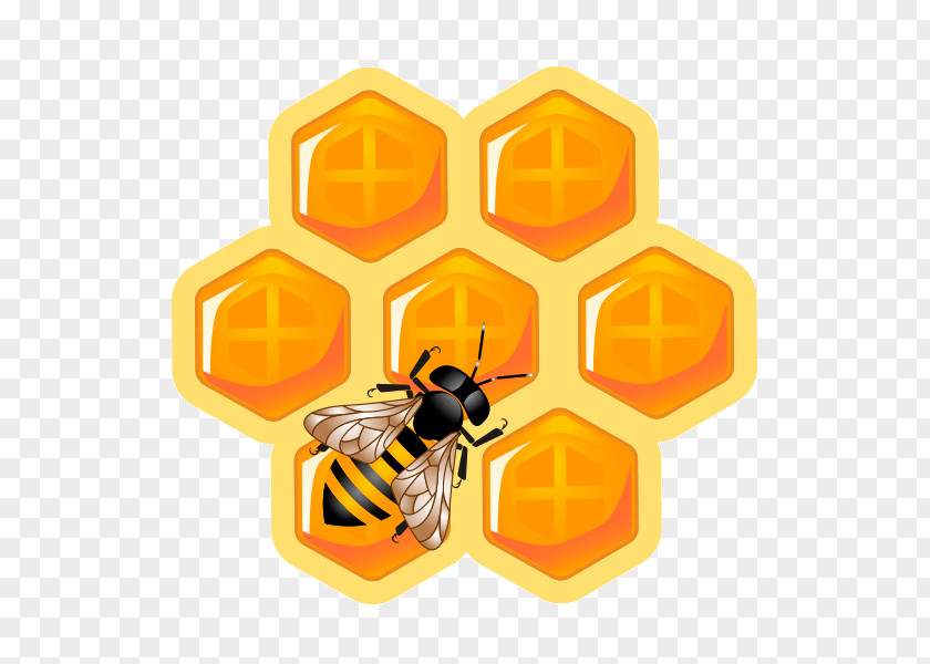 Bee Honey Honeycomb Maya Beehive PNG