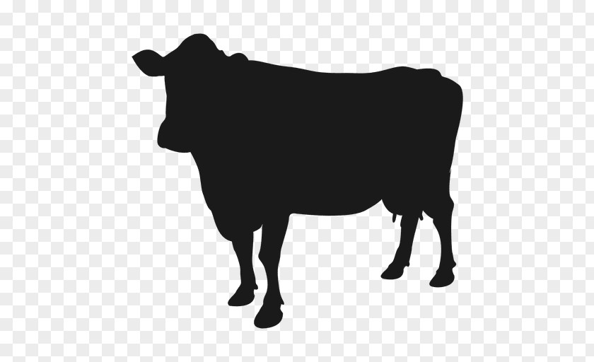 Cow Jersey Cattle Calf Clip Art PNG