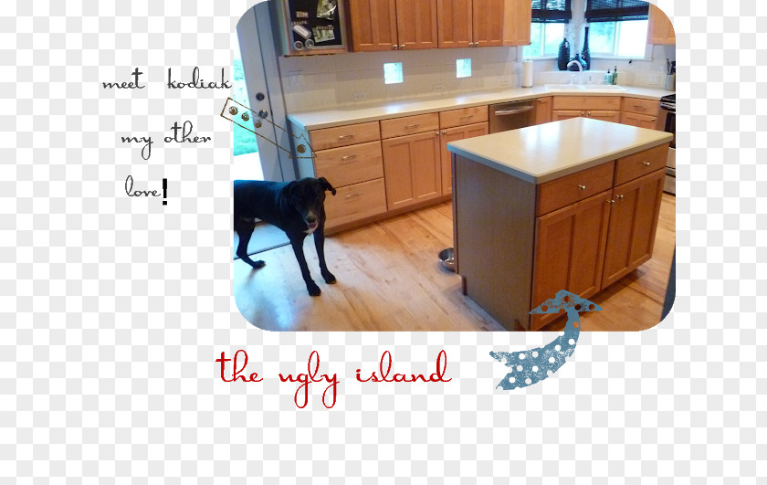 Kitchen Island Dog Floor Hardwood Wood Stain PNG