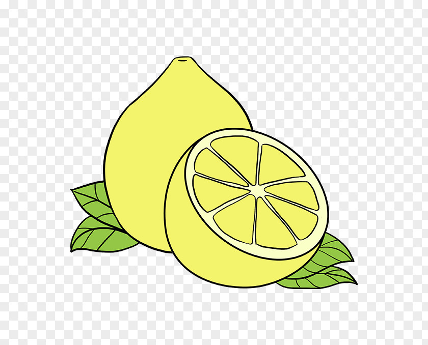 Lemon Yellow Fruit Lime Clip Art Drawing Juice PNG