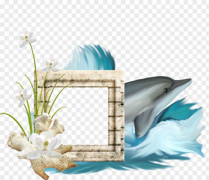 Picture Frames Clip Art PNG