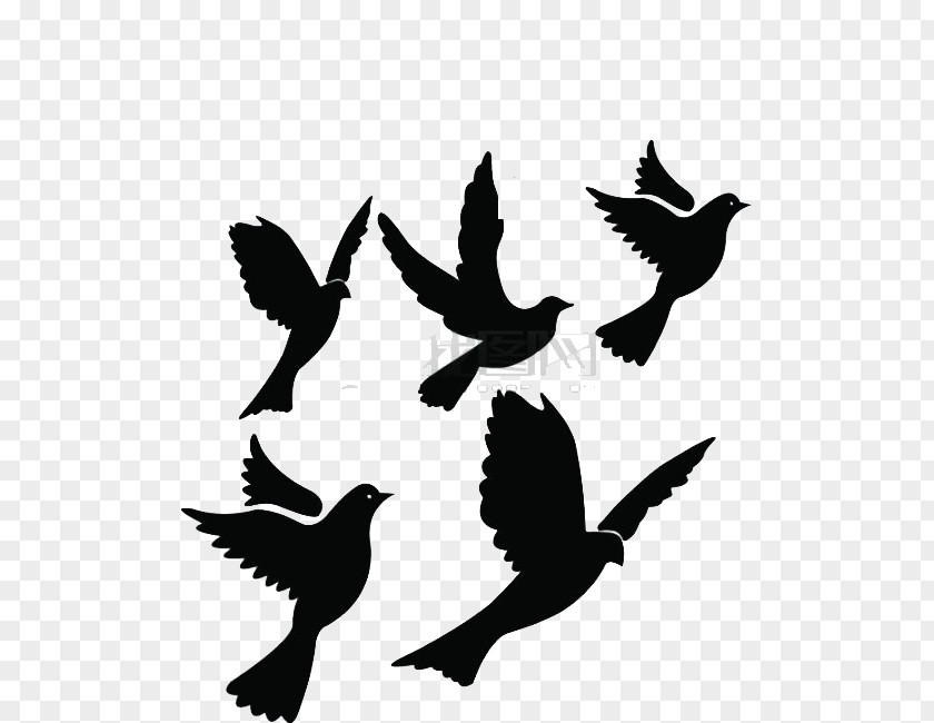 Pigeon Columbidae Bird Flight Silhouette Clip Art PNG