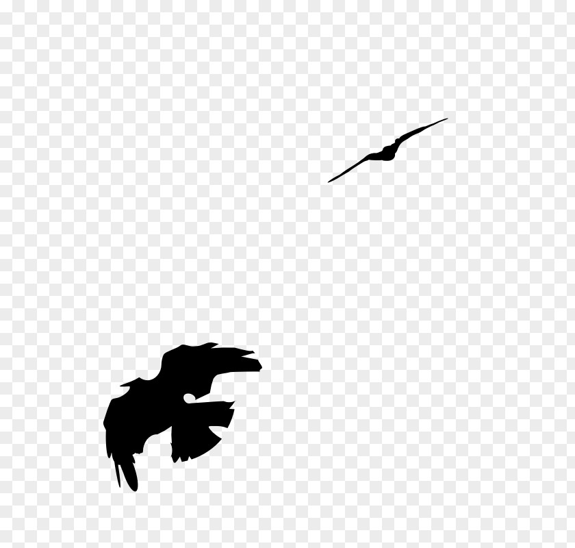 American Crow Bald Eagle Clip Art PNG