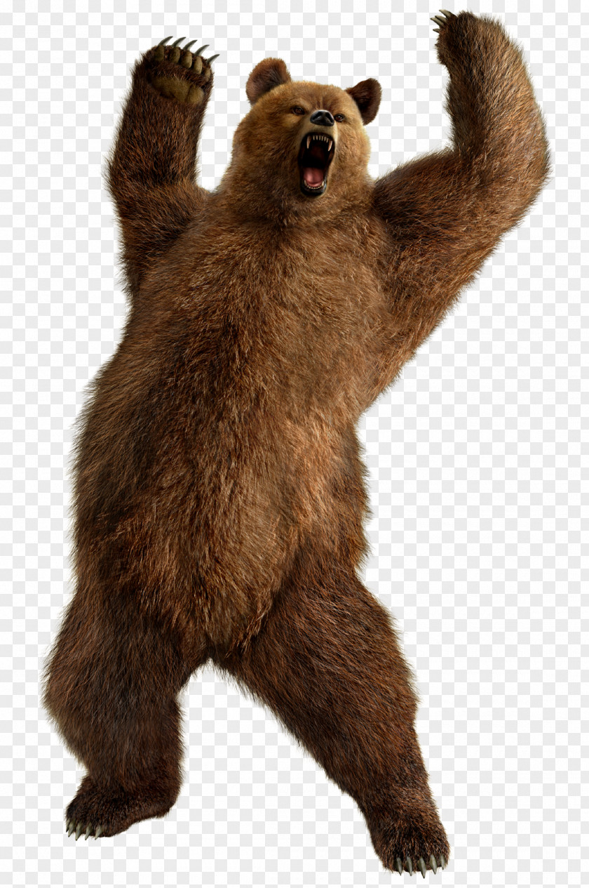 Brown Greezly Bear Image Tekken 6 Street Fighter X 5 3 PNG