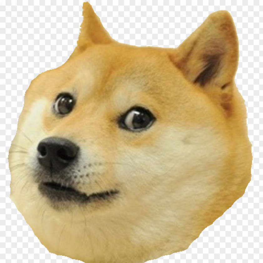 Doge Snake Dogecoin PNG