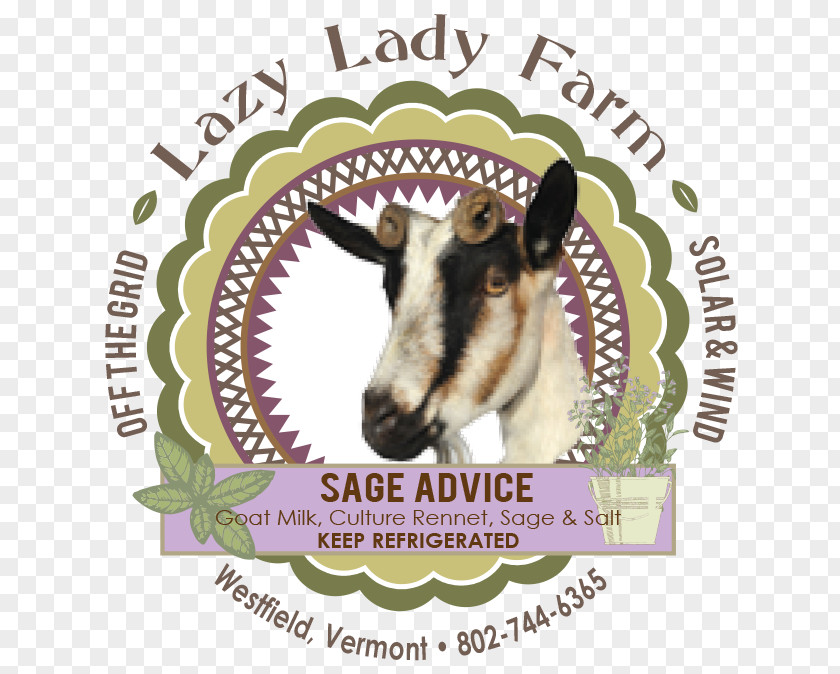 Goat Cheese Milk Sheep Cattle PNG