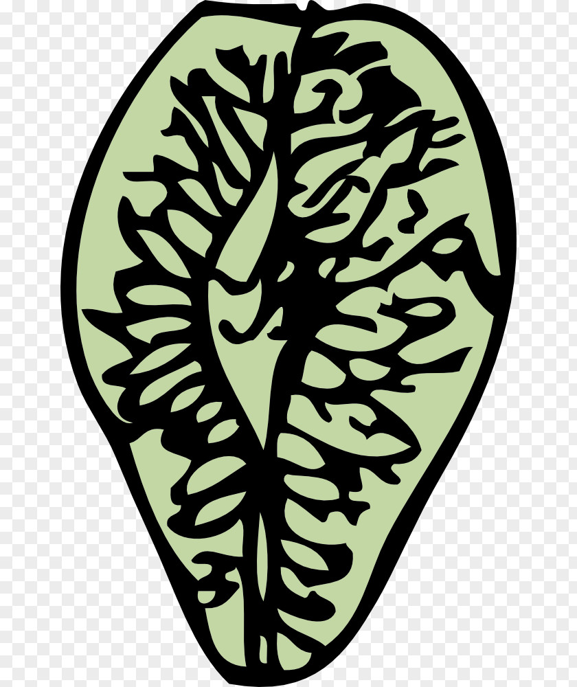 Pinecone Clipart Elm Seed Conifer Cone Clip Art PNG