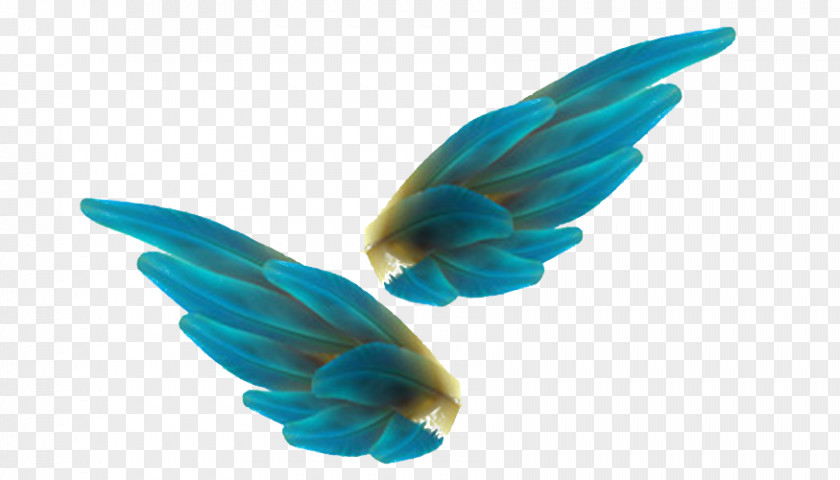 Blue Feathers Bird Feather Angel Wing PNG